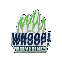 Whs Sticker by WHSPTSO
