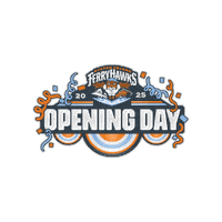 New York Baseball Sticker by Staten Island FerryHawks