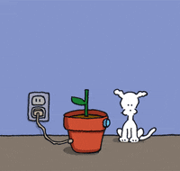 Flower GIF by Chippy the Dog