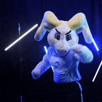 North Carolina Football GIF by UNC Tar Heels