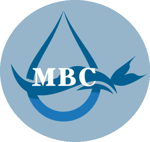 Mbc Sticker by Matronastur