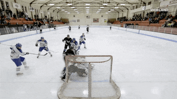 viceland GIF by VICE WORLD OF SPORTS