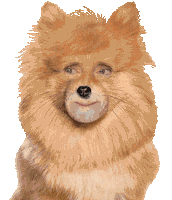 Mercedes Mila Dog Sticker by Movistar+