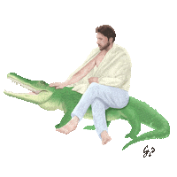 Fleet Foxes Meme Sticker by ANTI- Records