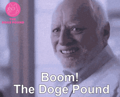 Elon Musk Nft GIF by The Doge Pound