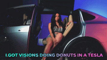 magthepoboy tesla elon musk elon ray gray GIF