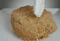 State Fair Of Texas GIF by Gangway Advertising