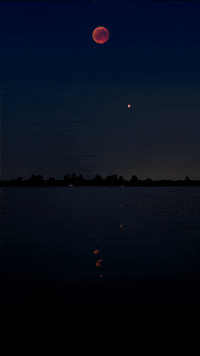 water night GIF by Living Stills