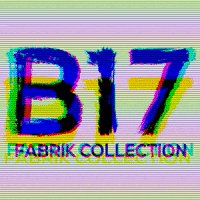 b17fashion  GIF