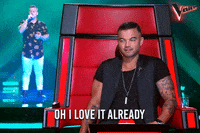thevoiceau thevoiceau GIF