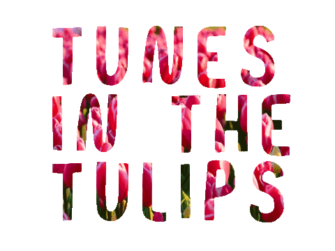 Tulips Tassie Sticker by Big hART