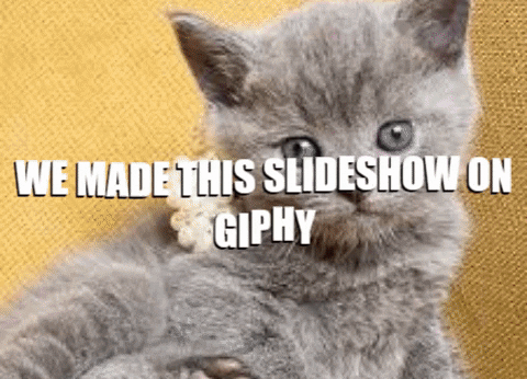 muhammadtalha755e giphygifmaker GIF