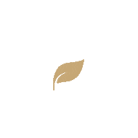 Bumboo plant eco bamboo plastic free Sticker