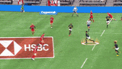 south africa sport GIF by World Rugby