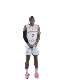 Dance Move Sticker by Swiss Basketball