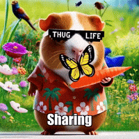 Wisdom Sharing GIF by Guinea Gambino