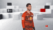 Posing Line Up GIF by Bundesliga