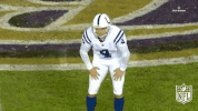 Indianapolis Colts Football GIF by NFL