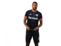 Bayer 04 Werkself GIF by Bayer 04 Leverkusen