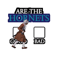 Charlotte Hornets Buzz City Sticker
