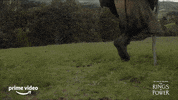 The Lord Of The Rings GIF by Amazon Prime Video