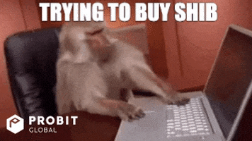 Shiba Inu Crypto GIF by ProBit Global