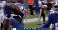 2018 Nfl Football GIF by NFL