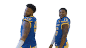 Football Fun Sticker by Delaware Blue Hens