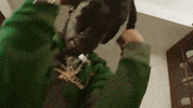 Batman GIF by LPB Poody