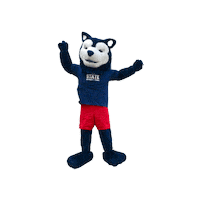 Pueblo Sticker by PackAdmissions