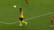 Borussia Dortmund GIF