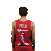 Sport Basketball Sticker by CSKA Moscow