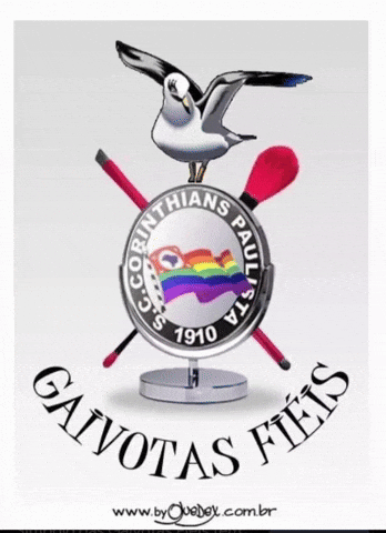 Santos Corinthians GIF
