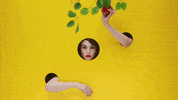 dance learn GIF by Fragmento Universo