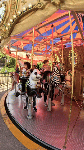 Carousel Zoos GIF by Oakland Zoo