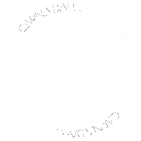 Carinadahlno Sticker by Carina Dahl Music
