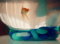 these days GIF by Wallows