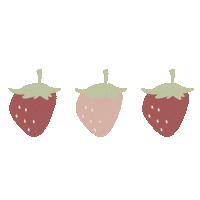 Valentine Strawberry Sticker