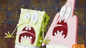 Shocked Squidward Tentacles GIF by SpongeBob SquarePants