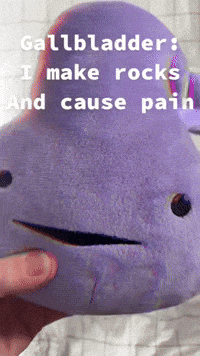 Gallbladder Gallstones GIF by I Heart Guts