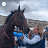 Kisses GIF by World Horse Racing