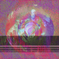 glitch internet GIF