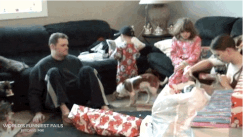 Worlds Fails GIF by World’s Funniest