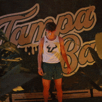 South Florida Horns Up GIF by USF Athletics