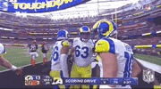 Super Bowl Football GIF by NFL