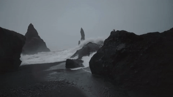 nwit amaal nuux GIF by Amaal