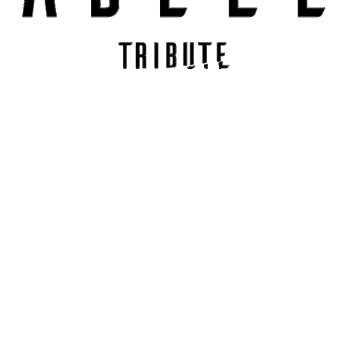 Tributes Tributeadele Sticker by Hello Adele Tribute