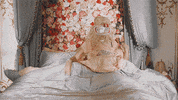 Music Video Witness GIF by Katy Perry