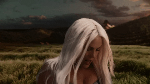 Dave Meyers GIF by P!NK