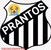 Neymar Jr Santos GIF